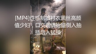 [MP4]性感制服衬衣黑丝高颜值少妇，口交调情抬腿侧入抽插后入猛操