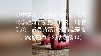 梦中情人，超美超骚网红【北北学姐呀】强势回归③，剧情乱伦，道具紫薇粉穴直流爱液，满满撸点，对话淫荡 (3)