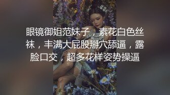 小母狗口交调教，手势验证