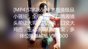 [MP4]STP26524 高颜值极品小骚妞，全程露脸黑丝情趣镜头前让大哥吃奶玩逼，口交大鸡巴，主动求欢互动狼友，多体位爆草抽插 VIP0600