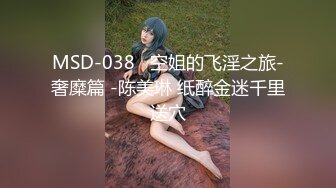 MSD-038   空姐的飞淫之旅-奢糜篇 -陈美琳 纸醉金迷千里送穴