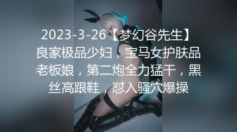 2023-3-26【梦幻谷先生】良家极品少妇，宝马女护肤品老板娘，第二炮全力猛干，黑丝高跟鞋，怼入骚穴爆操