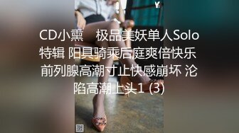 CD小熏✨ 极品美妖单人Solo特辑 阳具骑乘后庭爽倍快乐 前列腺高潮寸止快感崩坏 沦陷高潮上头1 (3)