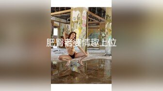 肥臀老婆情趣上位