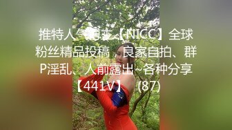 推特人气博主【NICC】全球粉丝精品投稿，良家自拍、群P淫乱、人前露出~各种分享【441V】   (87)