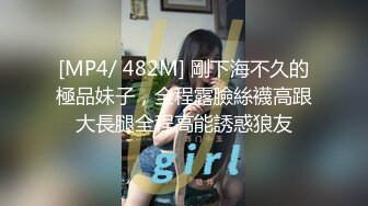 [MP4/ 482M] 剛下海不久的極品妹子，全程露臉絲襪高跟大長腿全程高能誘惑狼友