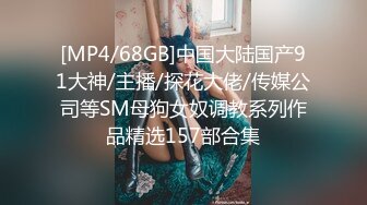 [MP4/68GB]中国大陆国产91大神/主播/探花大佬/传媒公司等SM母狗女奴调教系列作品精选157部合集