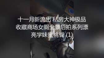 十一月新流出 私房大神极品收藏商场女厕全景后拍系列漂亮学妹蜜桃臀 (1)