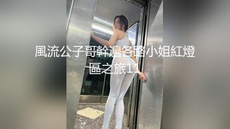 風流公子哥幹遍各路小姐紅燈區之旅11