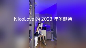 NicoLove 的 2023 年圣诞特辑 -