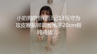 小奶狗的合租日记13反守为攻皮鞭捆绑调教木子20cm假鸡鸡插穴-