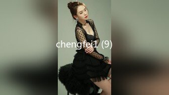 chengfei1 (9)