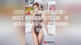 2023-1-6【模特写真拍摄丶探花】约良家私拍可以操，性感黑丝摆弄姿势，肥唇蝴蝶B掰开