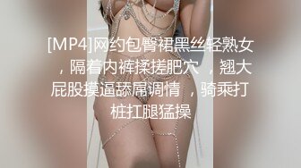 [MP4]网约包臀裙黑丝轻熟女 ，隔着内裤揉搓肥穴 ，翘大屁股摸逼舔屌调情 ，骑乘打桩扛腿猛操