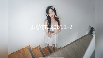 BJ蔡京230811-2