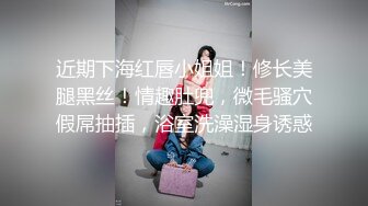 车震 天津小少妇