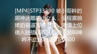 无水印[MP4/608M]10/22 为了儿子上名校性感少妇献身招生主任鲍鱼被操的很舒服VIP1196