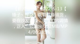 【新片速遞】 2022-5-13【锤子丶探花】花臂纹身骚货，要在沙发上操，手指扣穴调情，正入一顿输出[192MB/MP4/00:28:36]