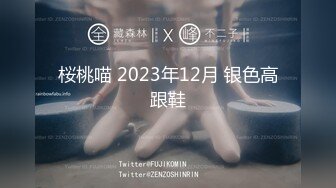 桜桃喵 2023年12月 银色高跟鞋